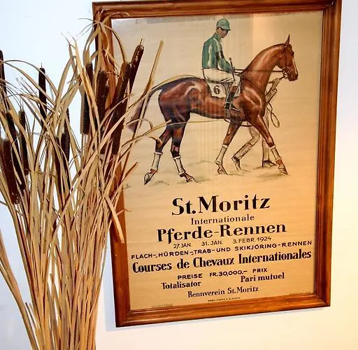 Salastrains Hotel St. Moritz