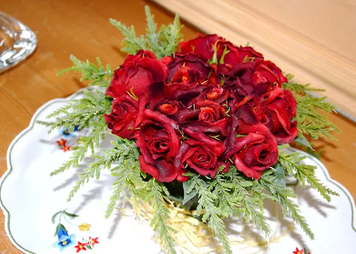 Ξενοδοχείο Salastrains