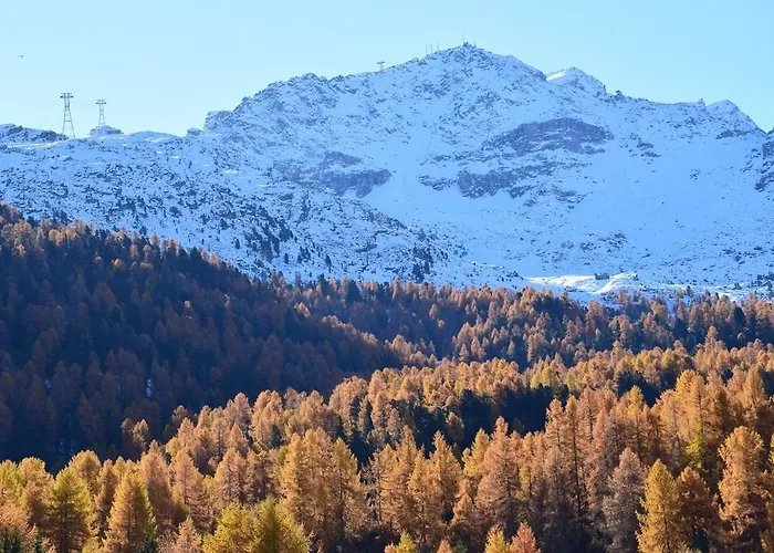 Ξενοδοχείο Salastrains